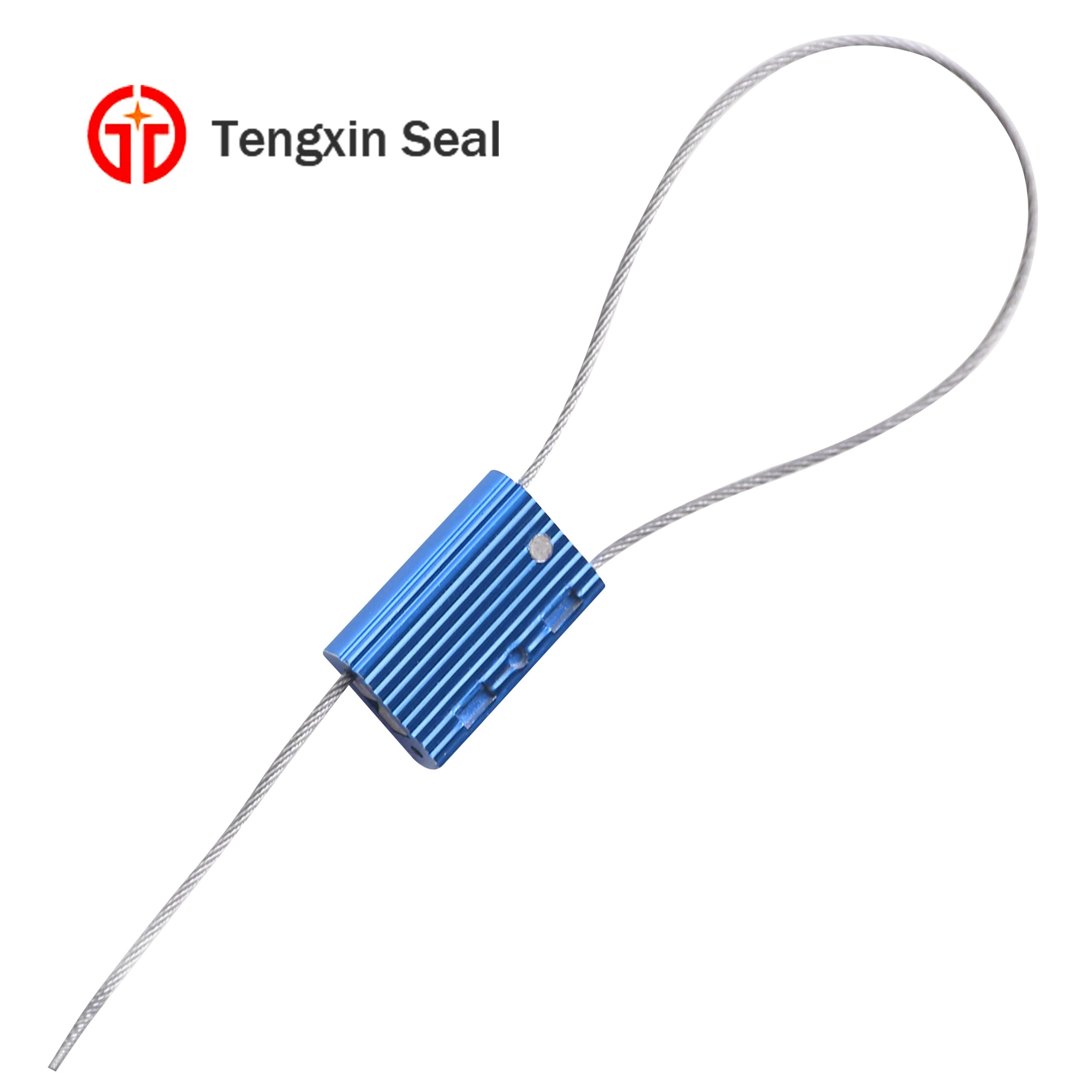 Disposable tamper_proof cable seals for container TX_CS104